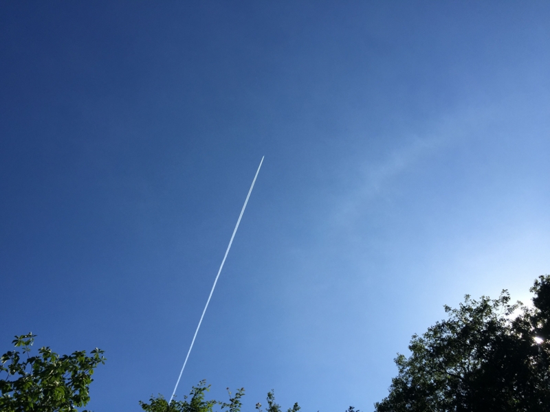 相談はする、される、どちらが多い？