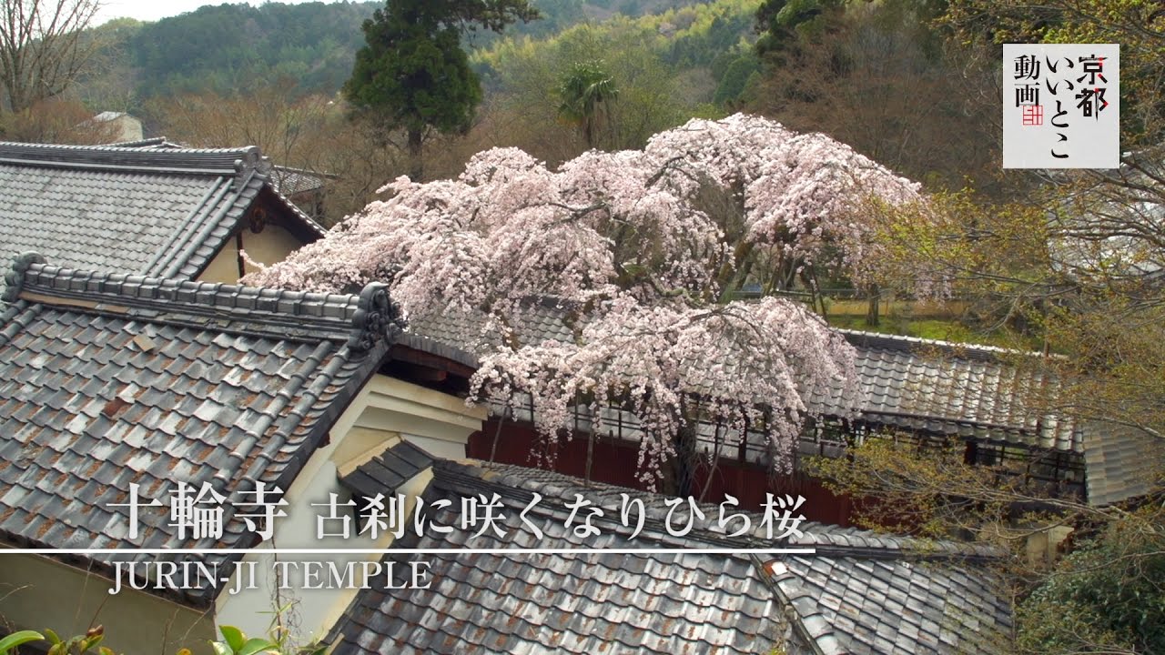 最近、春だなぁと感じた出来事ってありますか？