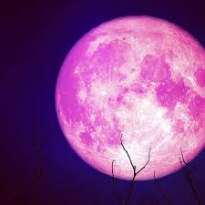 ［それな～］お仕事あるある教えて！