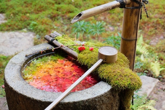 この夏一番食べたアイスはなに？