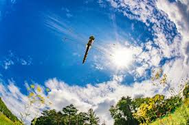 【振り返り】今年の夏は何してた？どこへ行った？