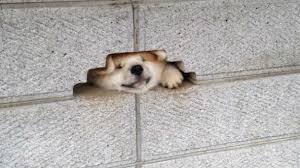 【女の子からの質問】女の子に感謝したいことはありますか？