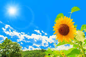 【店長に質問】面接で必要なものは何ですか？【ガールズヘブン】