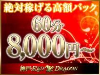 【高額アルバイト】寮にペットは連れて行けないですか？