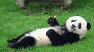 【人妻風俗店ですが、若い子より稼げるホントの話】短い期間だけ働きたい!!可能ですか？