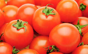 送迎はありますか？どの範囲までしてもらえますか？