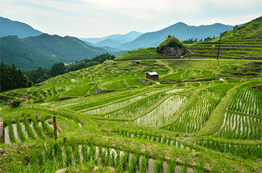 【高収入！神戸三宮・人妻が稼げるデリバリー求人サイト】すでに違うお店で働いてる方で