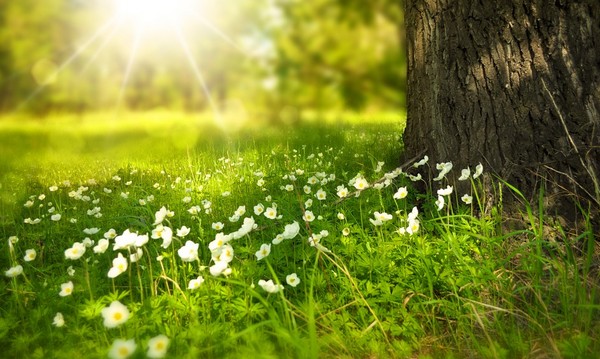 【神戸・三宮で最低8,000円バック！風俗求人】「最初の気持ちを忘れない」