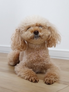 【60分最低8,000円バック！神戸三宮で高収入♪】稼ぐ為にSNSはした方が良いですか？