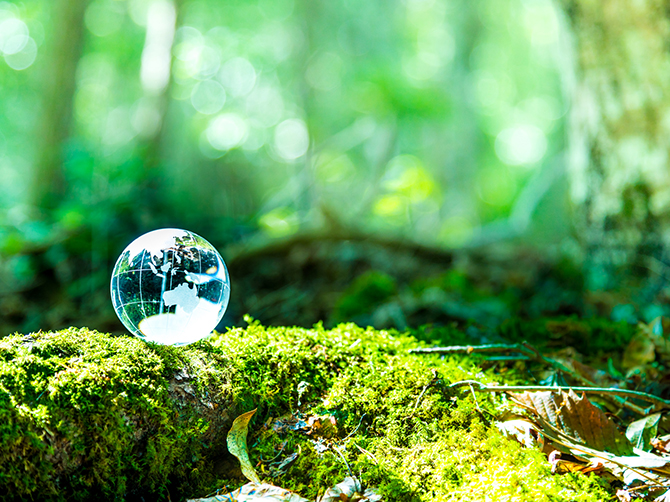 環境にもこだわり、徹底した働きやすい環境をご用意しています。