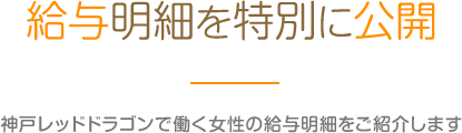 給与明細を特別に公開